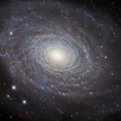This image features the spiral galaxy NGC 691, imaged in fantastic detail using Hubble’s Wide Field Camera 3 (WFC3). This galaxy is a member of the NGC 691 galaxy group named after it