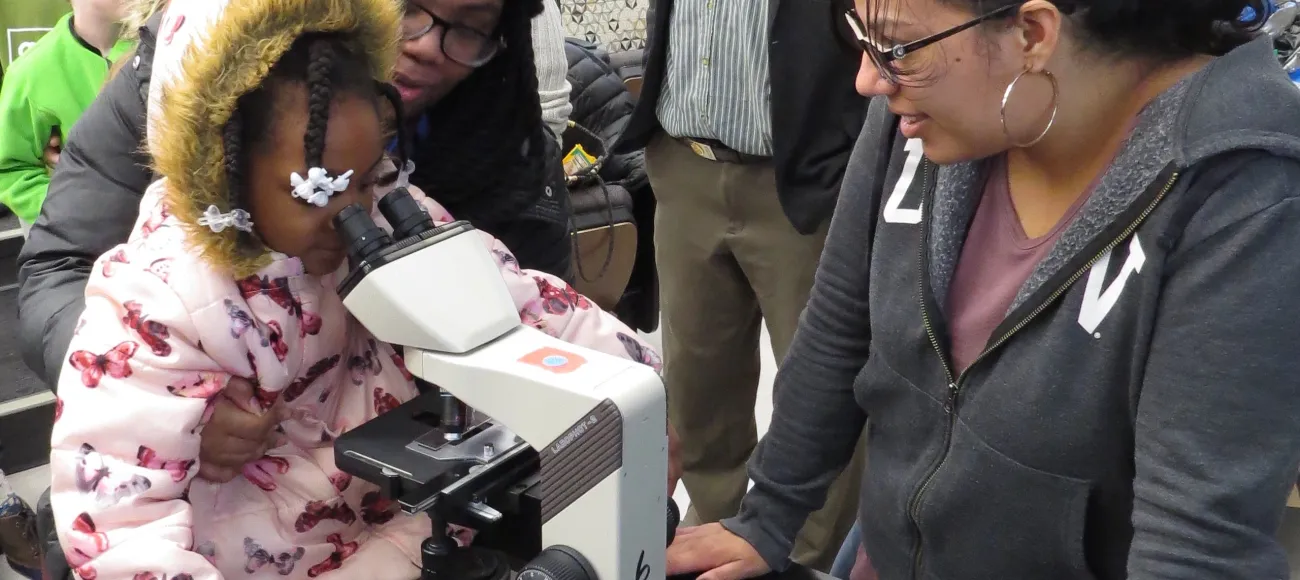 Students look at tardigrades