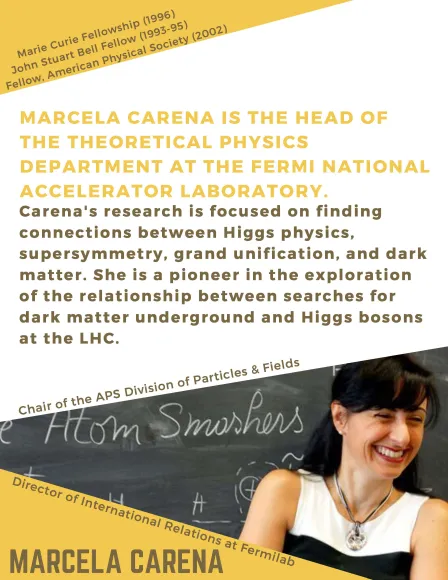 Marcela Carena is the Head of the Theoretical Physics Department at the Fermi National Accelerator Laboratory