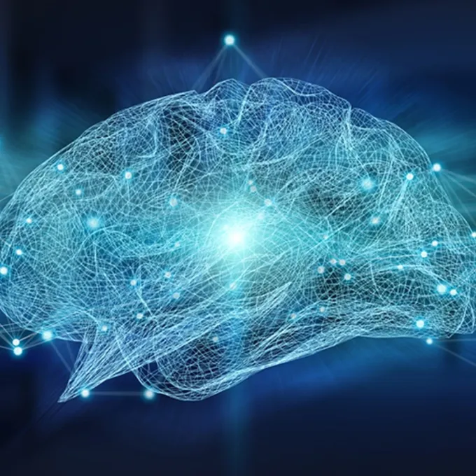 Neurons in the brain